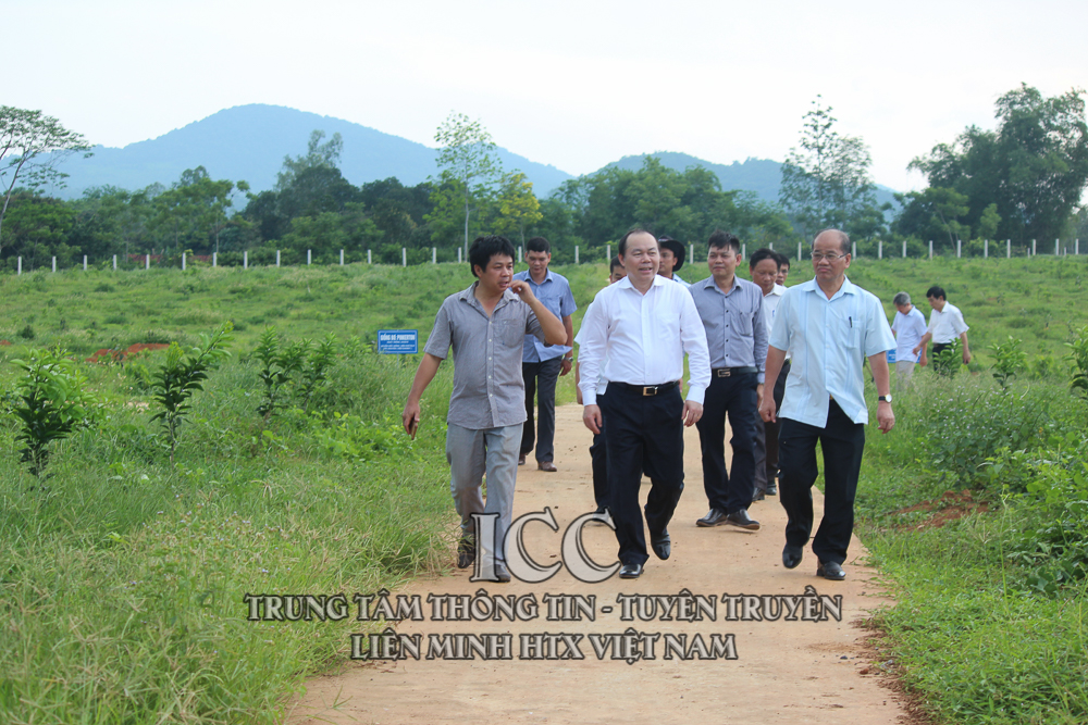 Sự kiện nổi bật